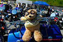 BeoBikeWeek2007_983